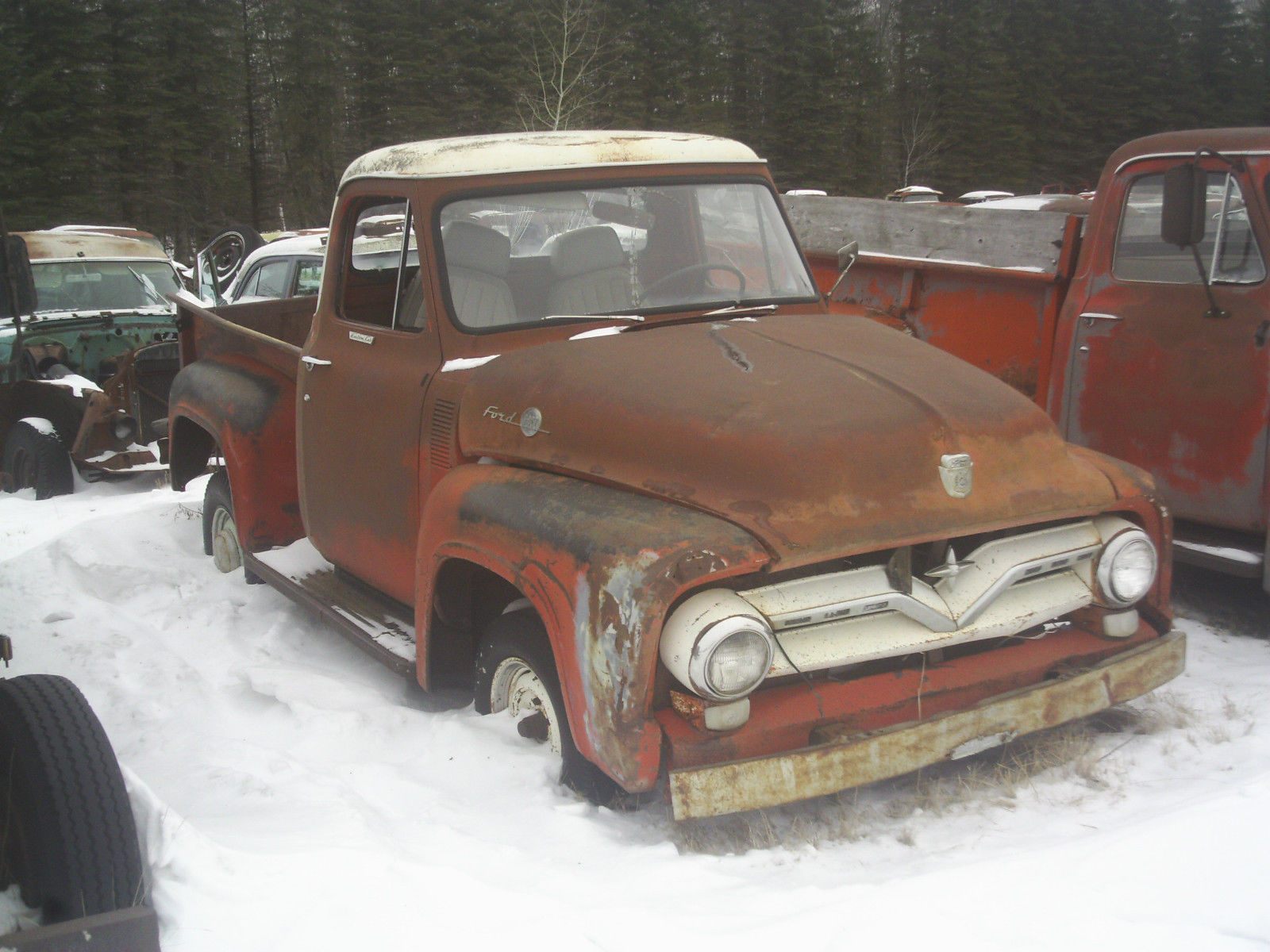 1955 Ford 12 Ton Pickup Truck For Sale In Cavalier North Dakota United States For Sale 7259