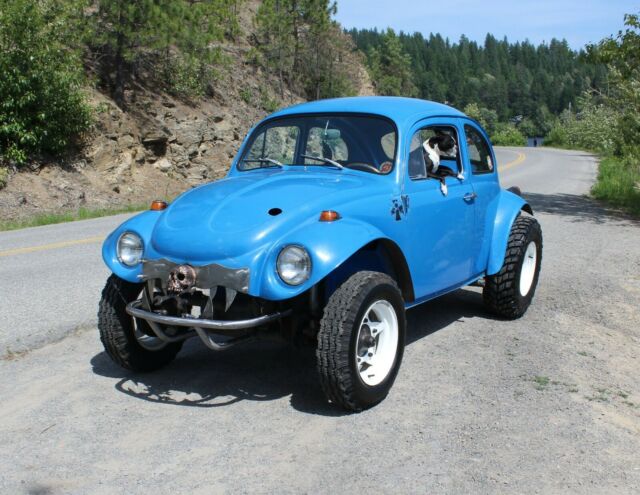 Custom Volkswagen Baja Bug