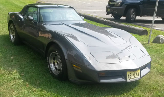 1981 Corvette W T Tops Grey With Silver Interior For Sale In