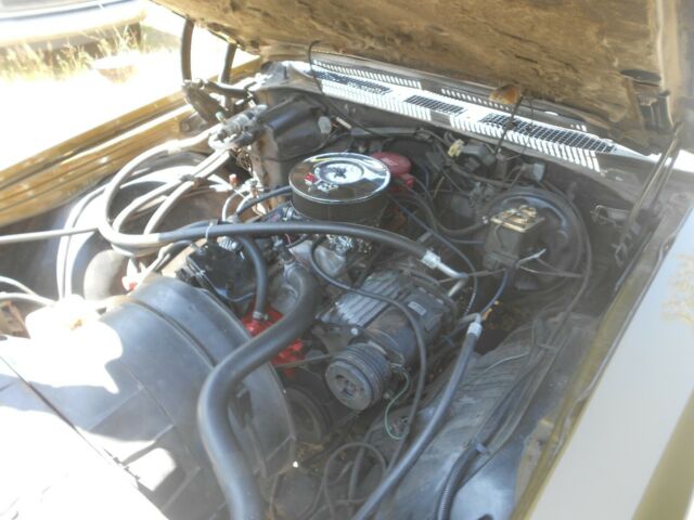 1972 Custom Olive Metallic Chevrolet Monte Carlo