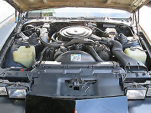 1982 Black Chevrolet Camaro Hatchback