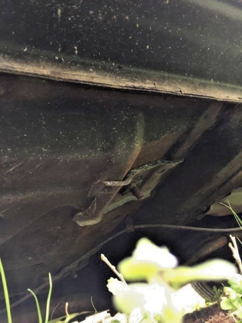 1983 Blue Ford Mustang Convertible