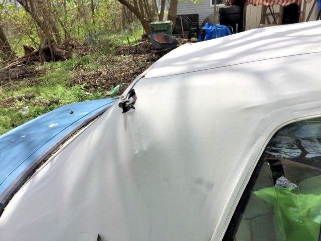 1983 Blue Ford Mustang Convertible