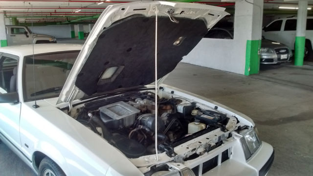 1986 WHITE Ford Mustang 3 DOOR Hatchback