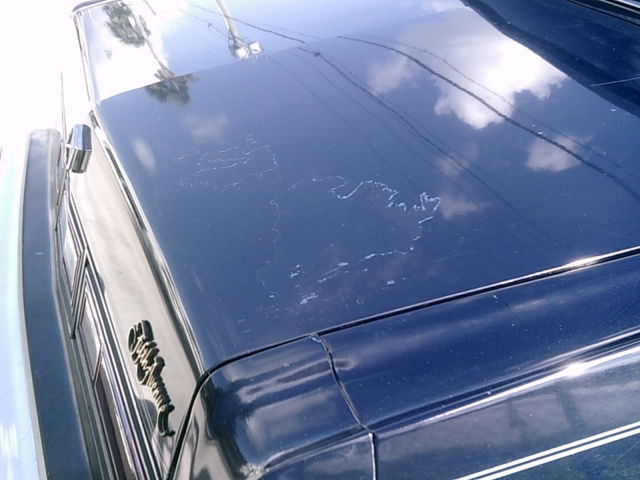 1985 Blue Chrysler New Yorker