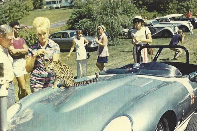 1964 British Racing Green Jaguar E-Type