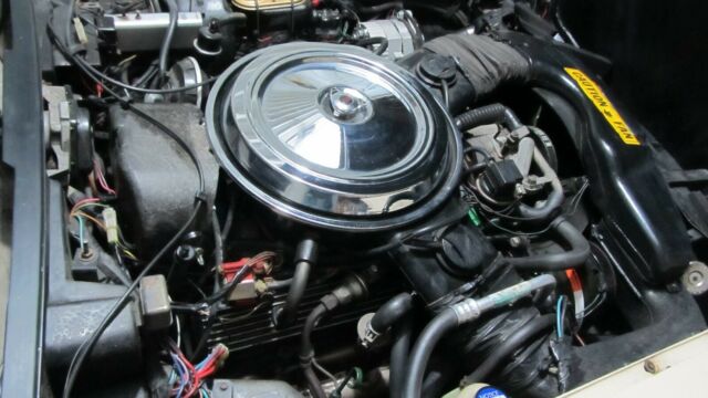 1981 Tan Chevrolet Corvette t top