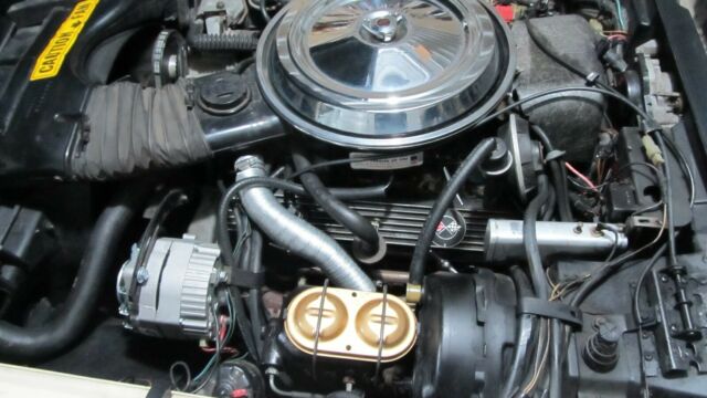 1981 Tan Chevrolet Corvette t top