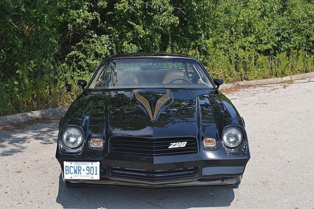 1981 Black Chevrolet Camaro Coupe