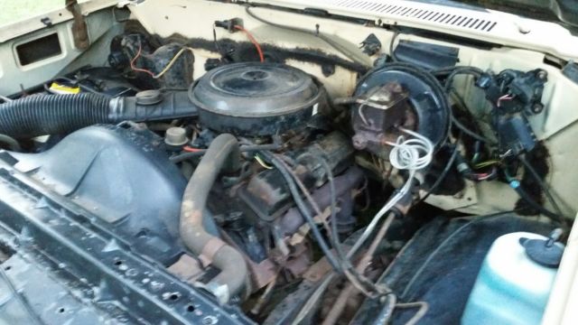 1983 Tan Chevrolet C-10 Standard Cab Pickup