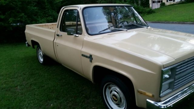1983 Tan Chevrolet C-10 Standard Cab Pickup