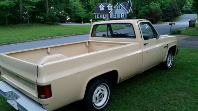 1983 Tan Chevrolet C-10 Standard Cab Pickup