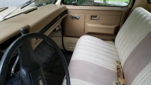 1983 Tan Chevrolet C-10 Standard Cab Pickup