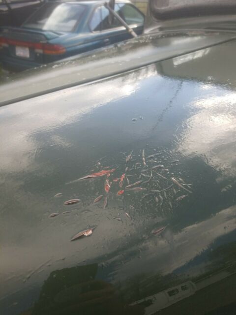 1937 Green Chevrolet Big Fender 2 ton