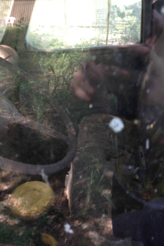 1941 Green Chevrolet Other Pickups Standard Cab Pickup