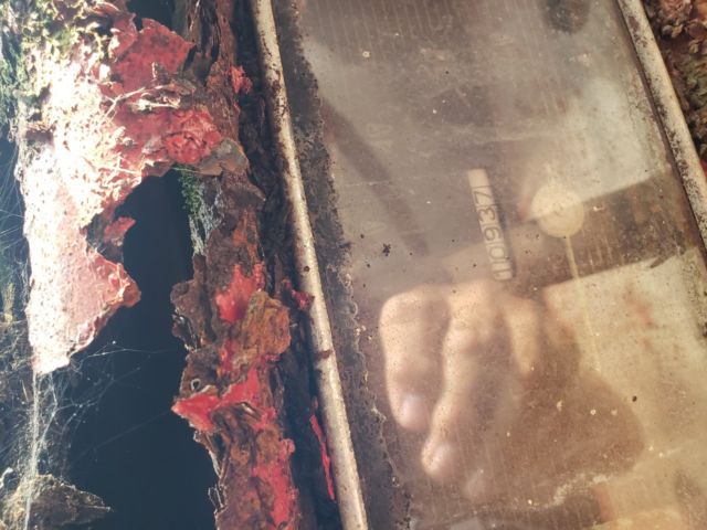 1941 Ford Other Truck