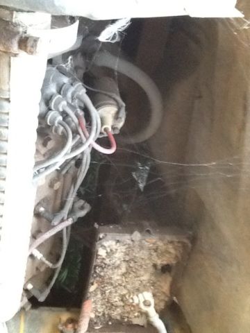 1948 Yellow Ford Other Pickup