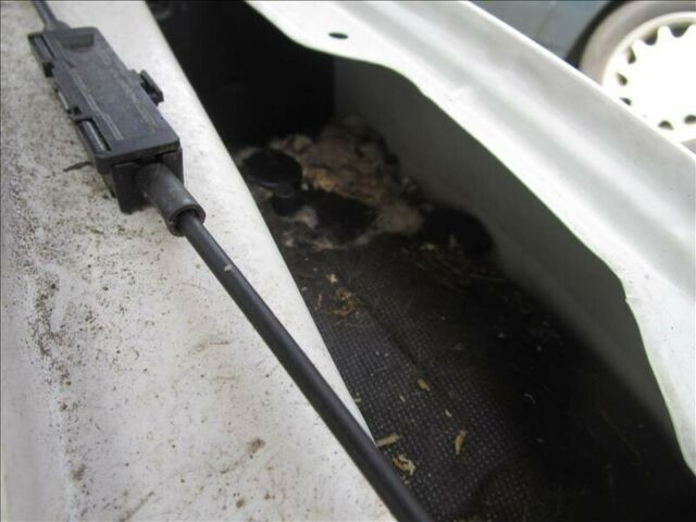 1948 Black Ford Other Convertible