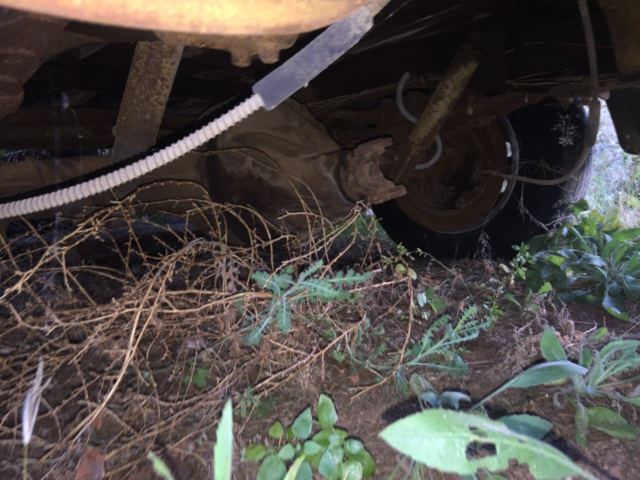 1948 Ford F-100 Standard Cab Pickup