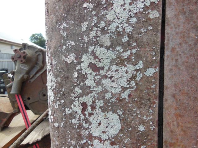 1949 Rust Dodge Other Pickups 5 Window