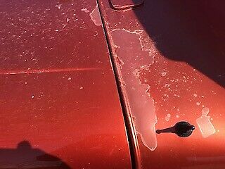 1950 Willys 4-63 Pickup Standard Cab Pickup