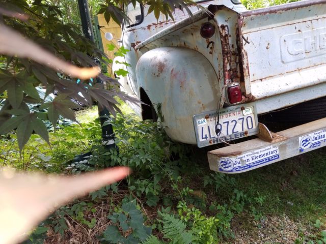 1951 patina Chevrolet Other Pickups