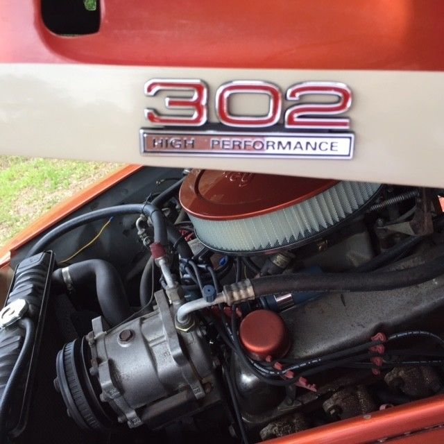 1951 Tan Ford F-100 Standard Cab Pickup