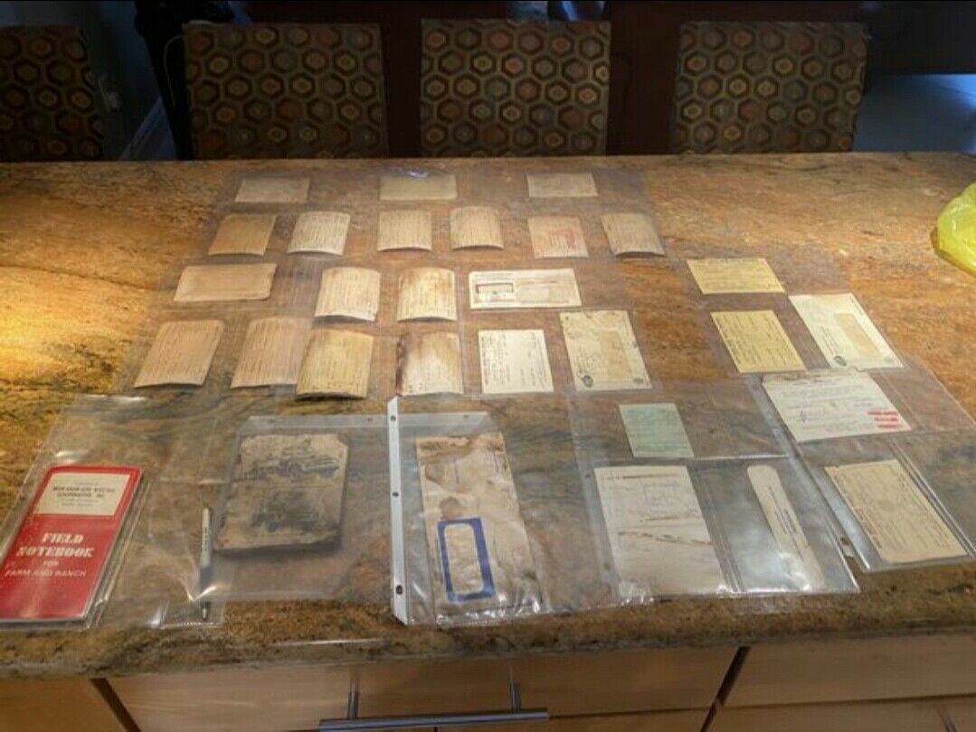 1951 Brown Ford f2 Pickup