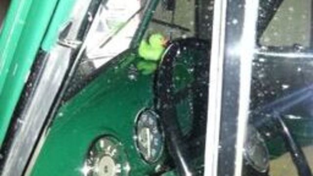 1952 Green Chevrolet Other Pickups