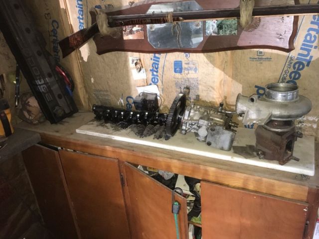 1954 Green Dodge Power Wagon Standard Cab Pickup