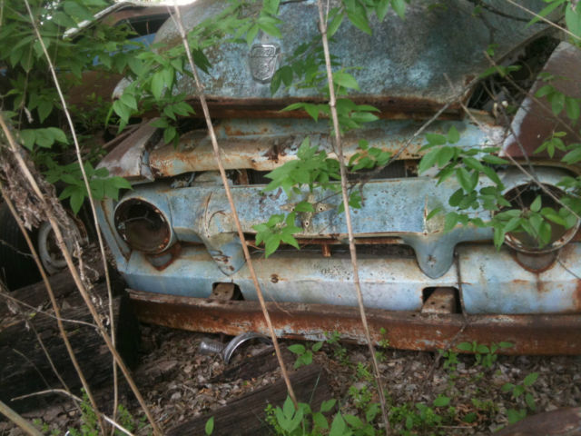 1954 Ford F-100