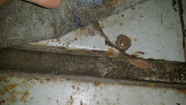 1954 Blue Ford Other Pickups