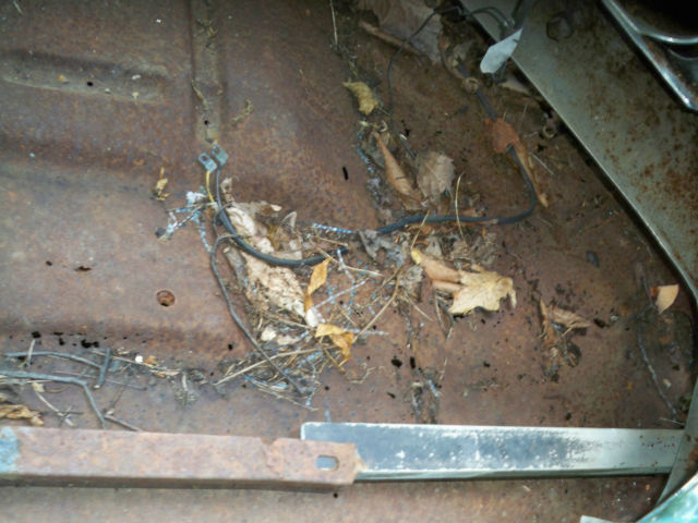 1955 NUGGET GOLD Chrysler New Yorker Convertible