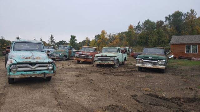 1955 Ford Other Pickups