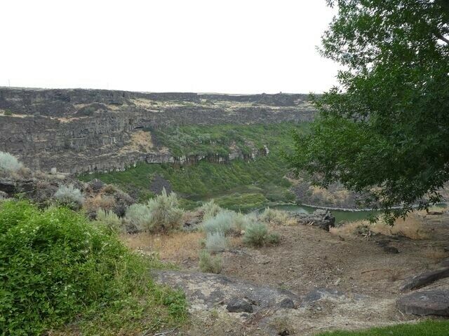 1955 Blue Ford F-100 --