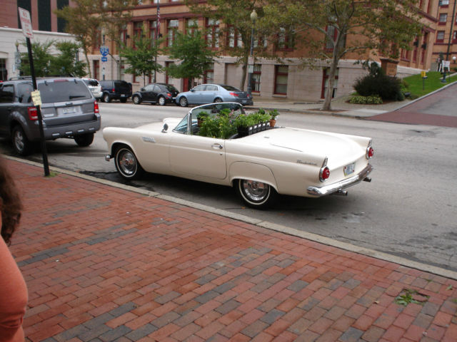1955 snowshoe white Ford Thunderbird hard top and convertible-no portholes as correct