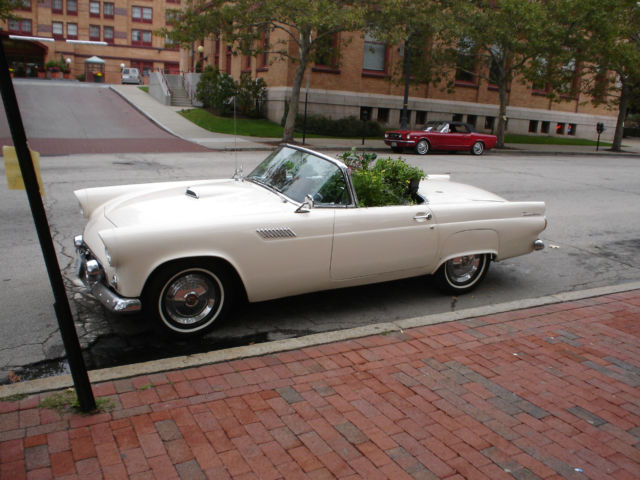 1955 snowshoe white Ford Thunderbird hard top and convertible-no portholes as correct