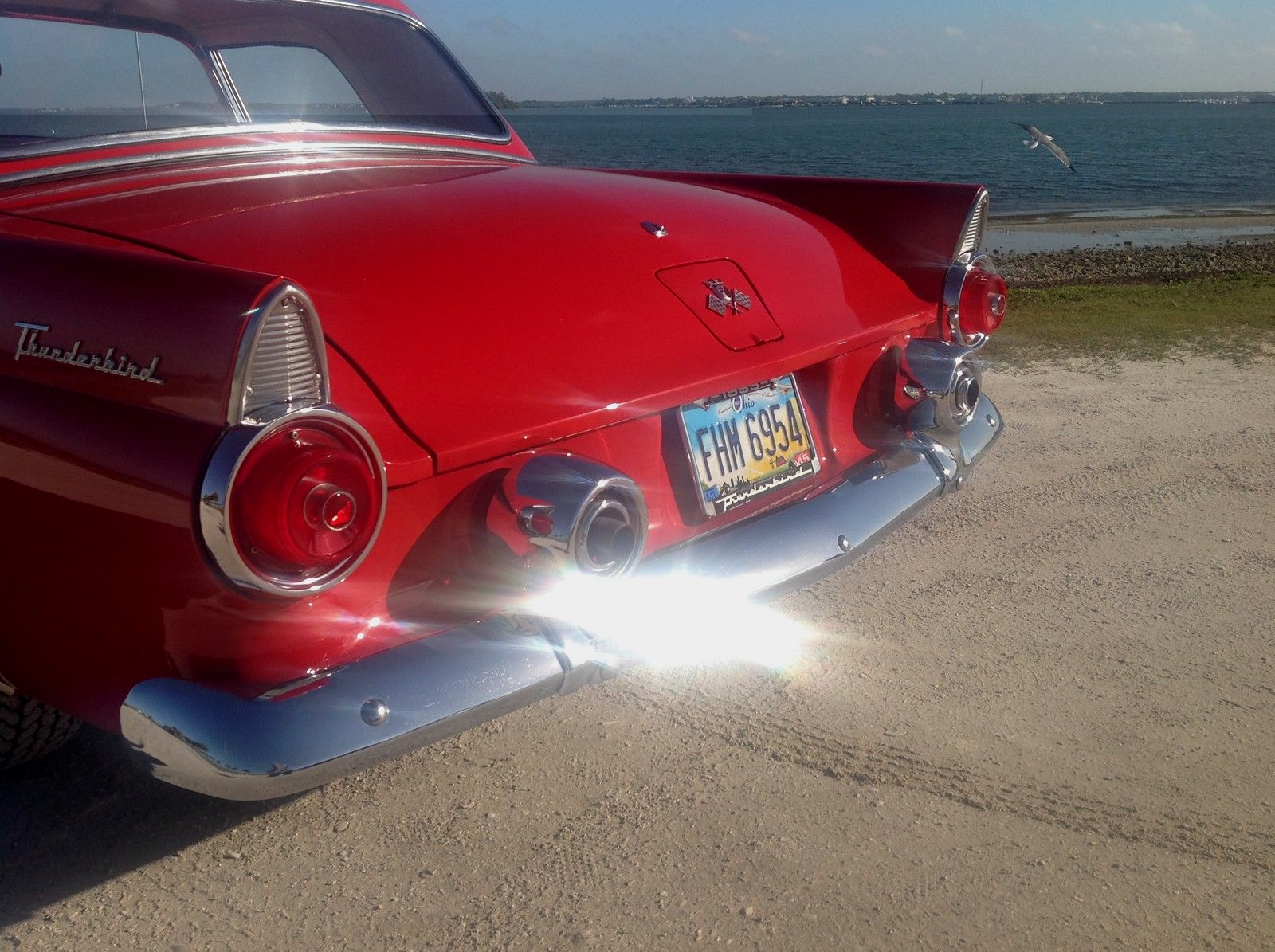 1955 Red Ford Thunderbird