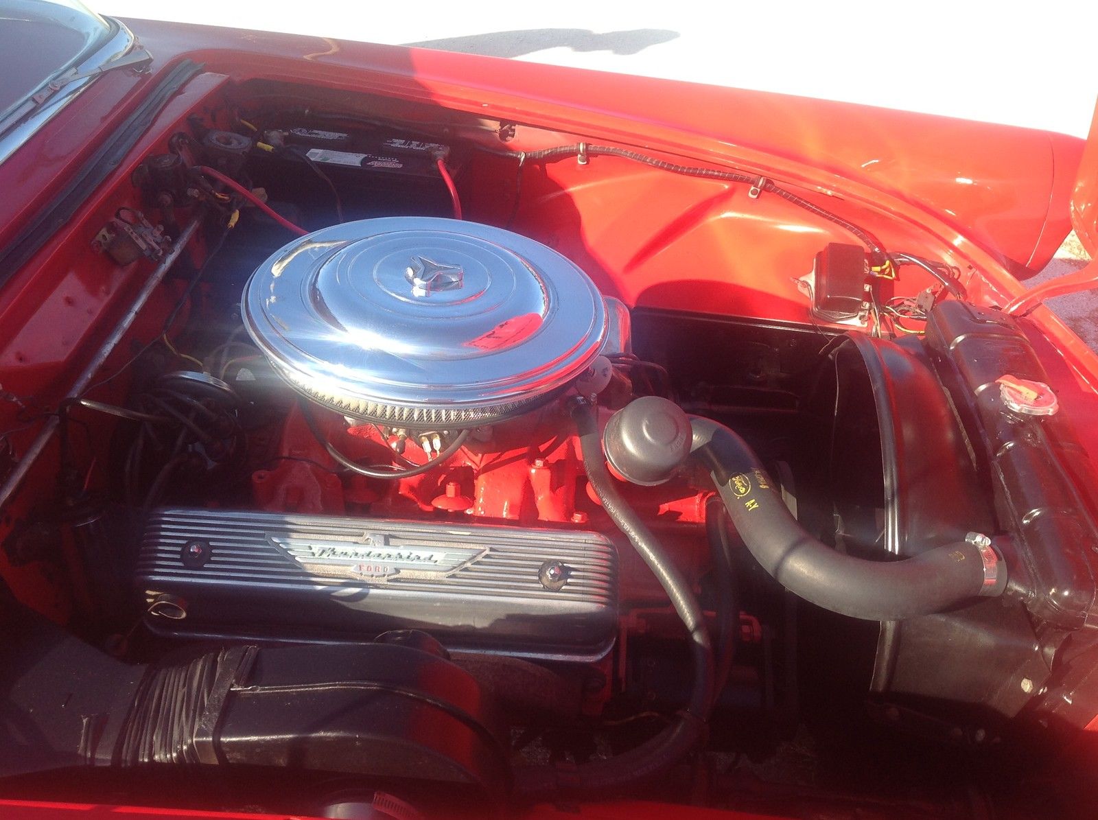 1955 Red Ford Thunderbird