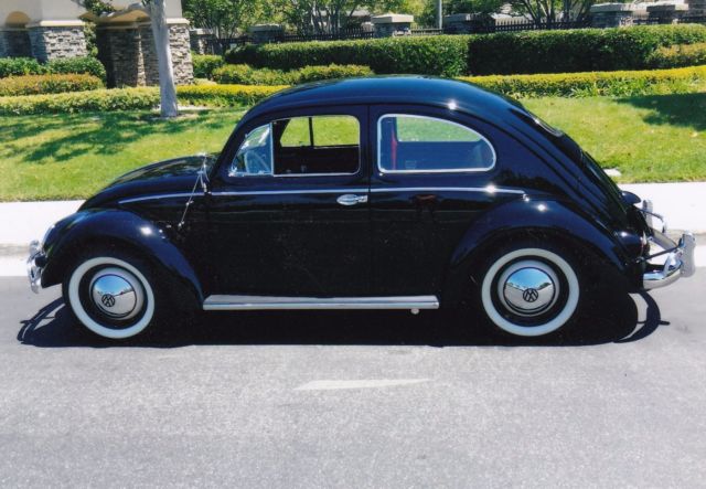 1955 Volkswagen Beetle - Classic
