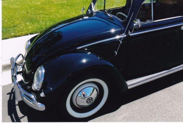 1955 Volkswagen Beetle - Classic