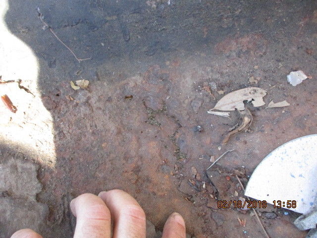 1956 Chevrolet Bel Air/150/210