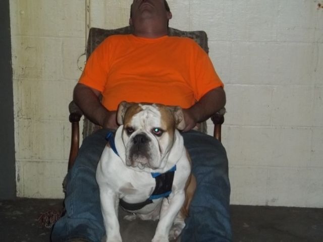 1956 Blue Chevrolet Chevy Sedan