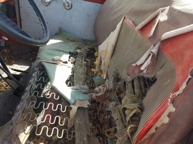 1956 Red Ford Other Pickups Cab & Chassis