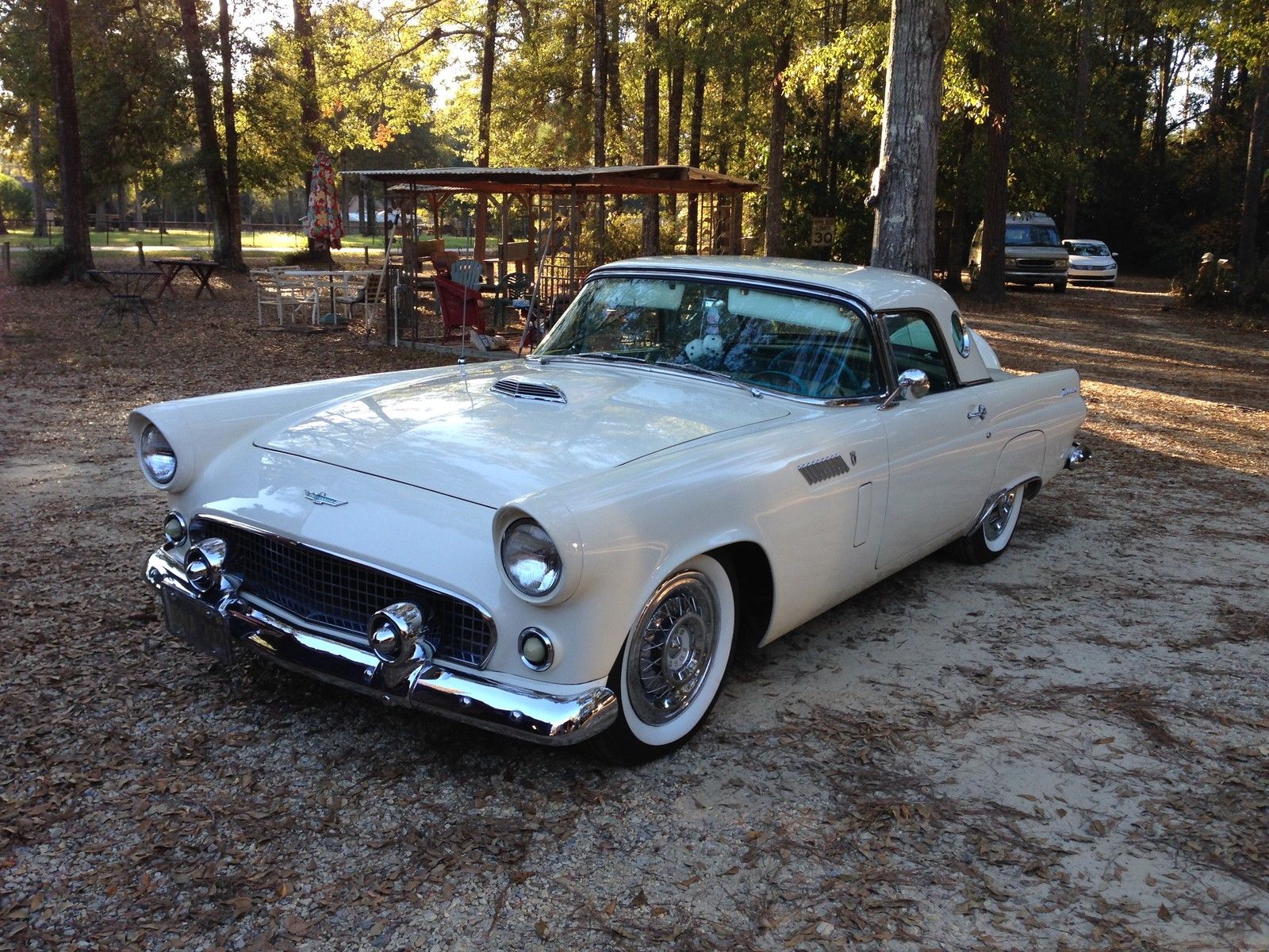 1956 Blue Ford Thunderbird
