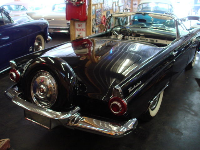 1955 Ford Thunderbird