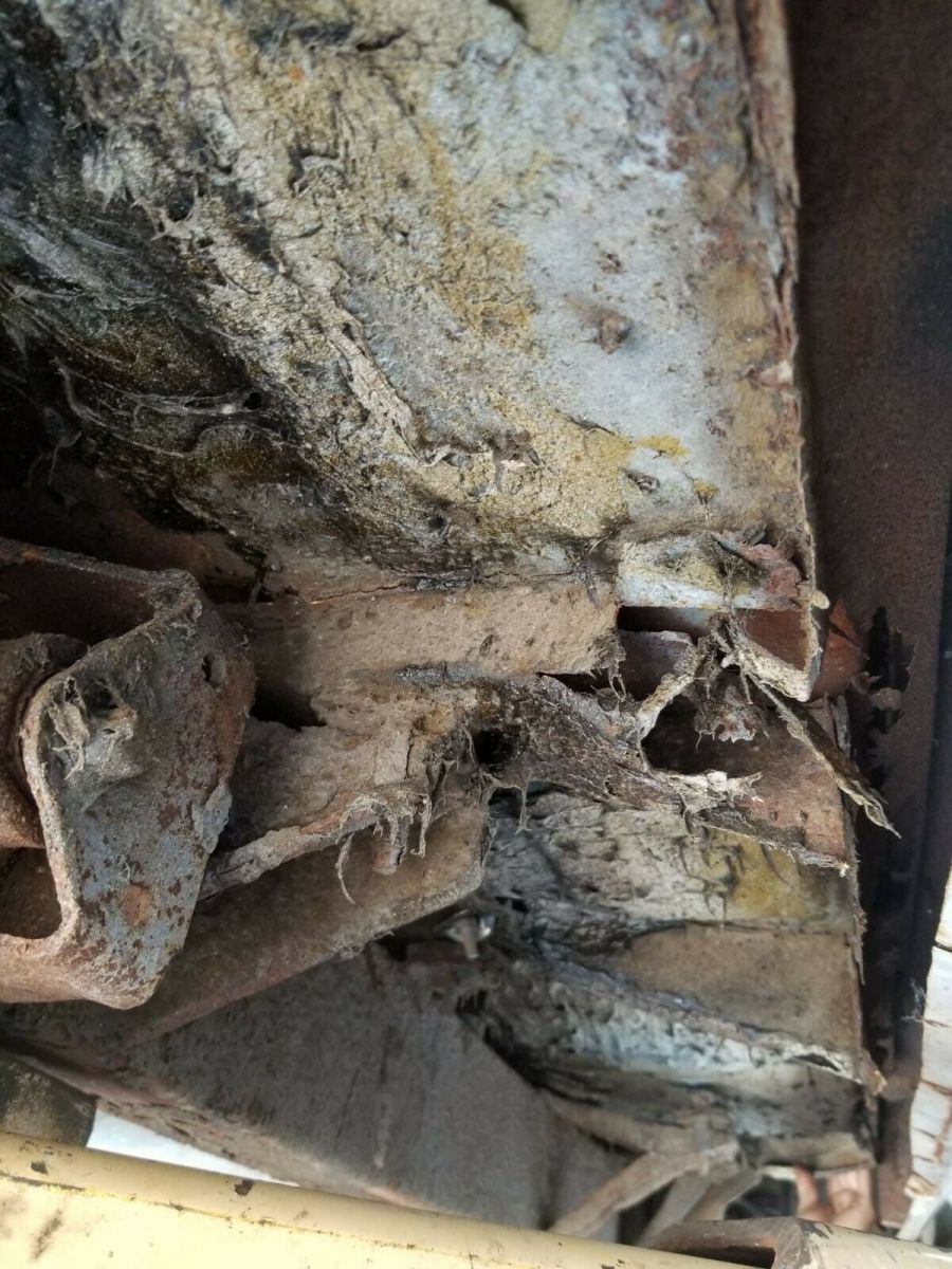 1956 WHITE Ford Thunderbird Convertible