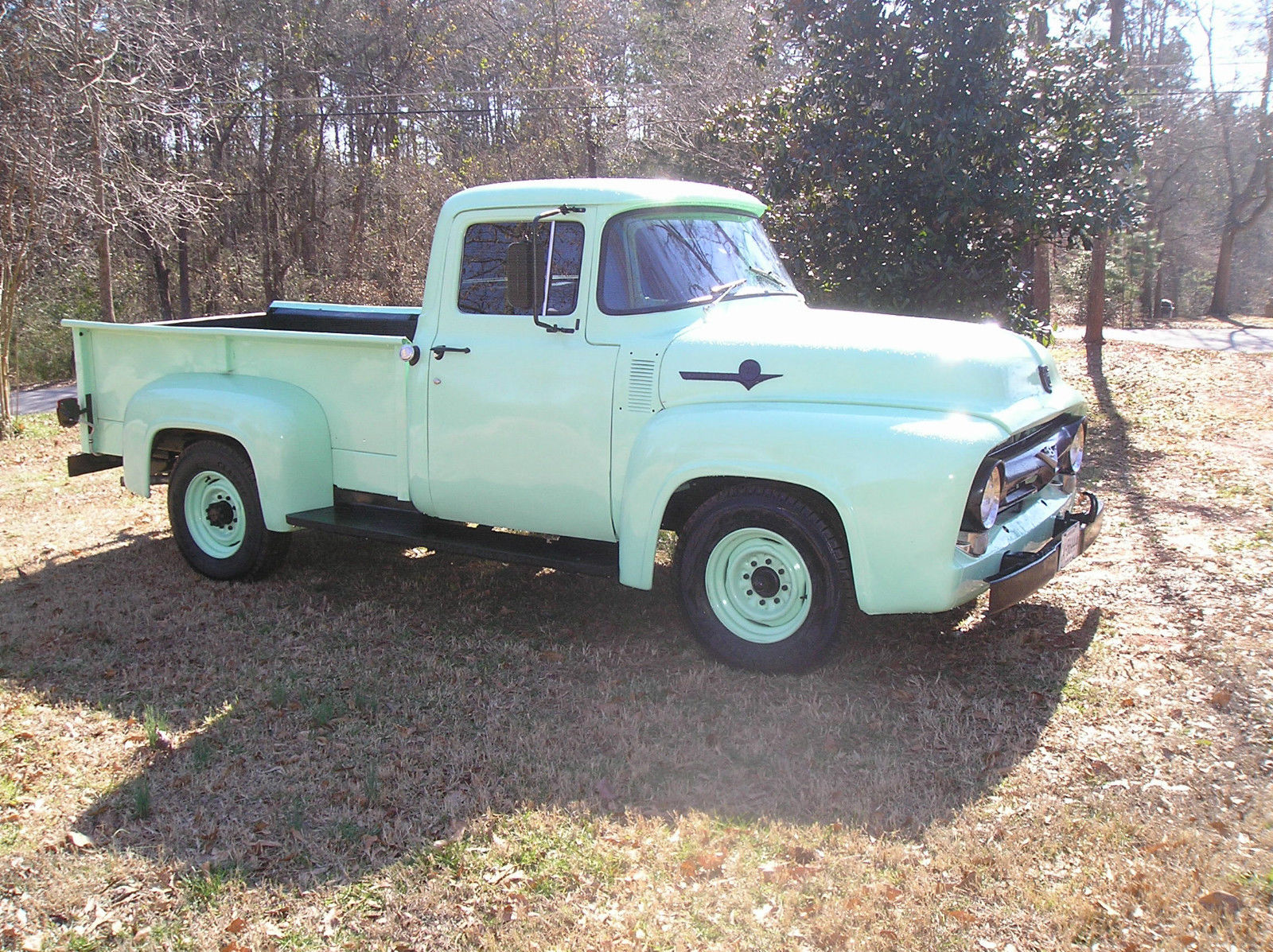 1956 Medowmist Green Orignial Ford color Ford F-250 2 door