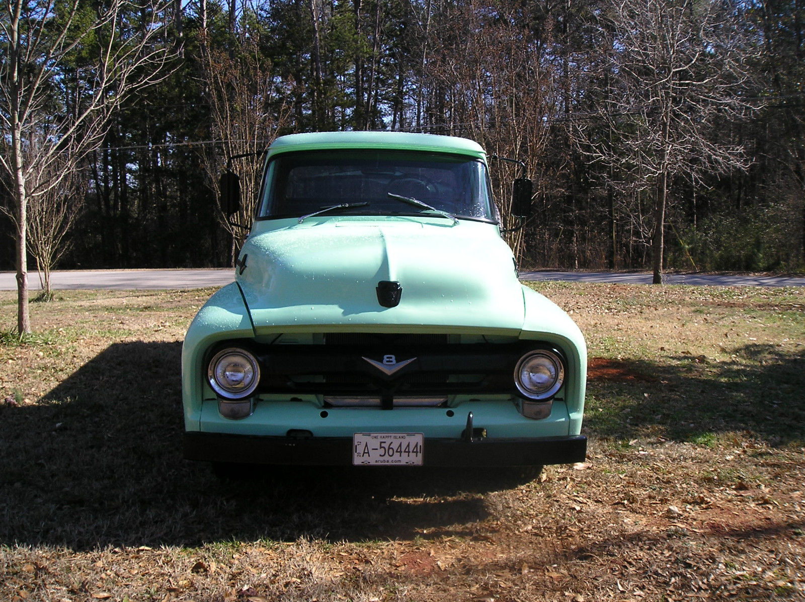 1956 Medowmist Green Orignial Ford color Ford F-250 2 door