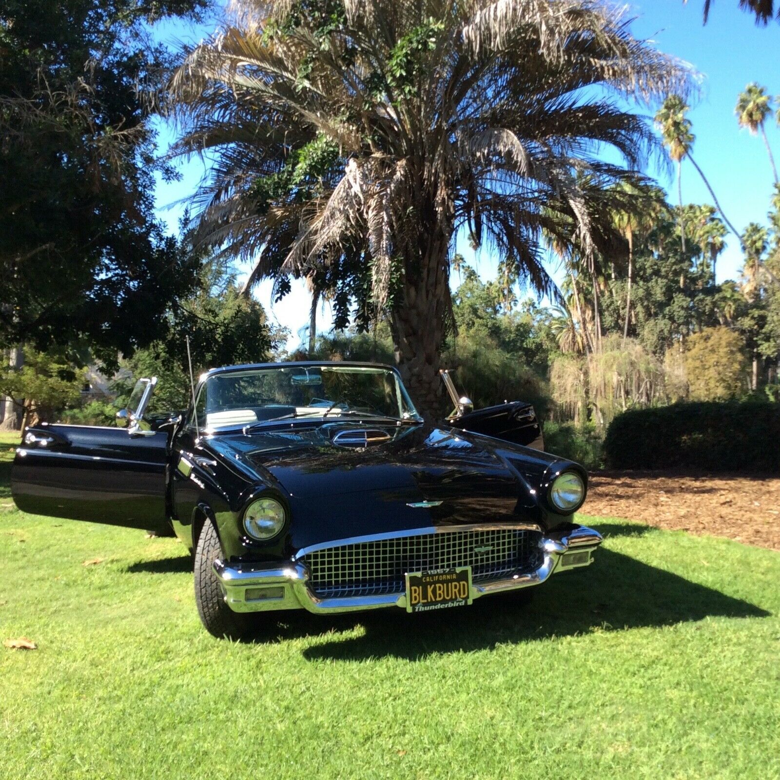 1957 Black Ford Thunderbird Convertible